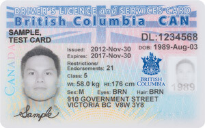 BC Driver's License | Driver Test App